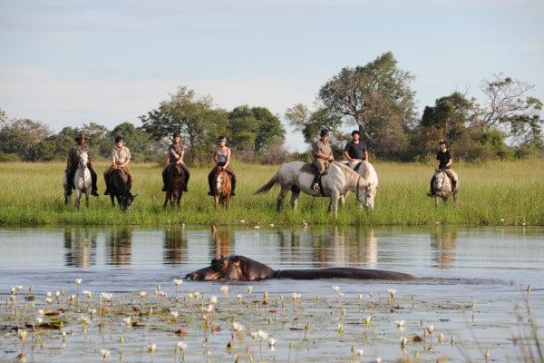 Horseback Safari Riding