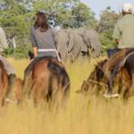 Horseback Safari Big Five