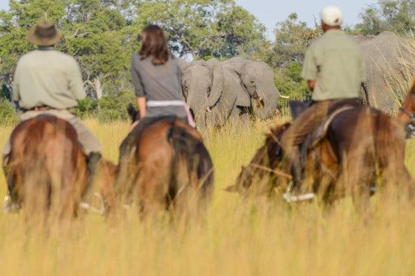 Horseback Safari Big Five