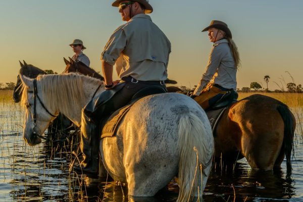 Horseback Safari Riding