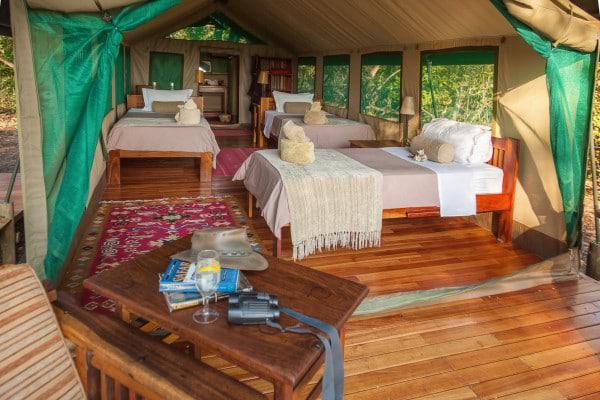 Horseback Safari Room