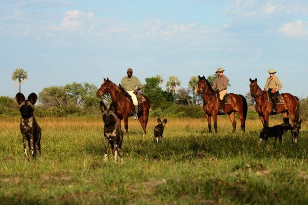 Horseback Safari