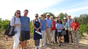 Cassis wine tasting tour