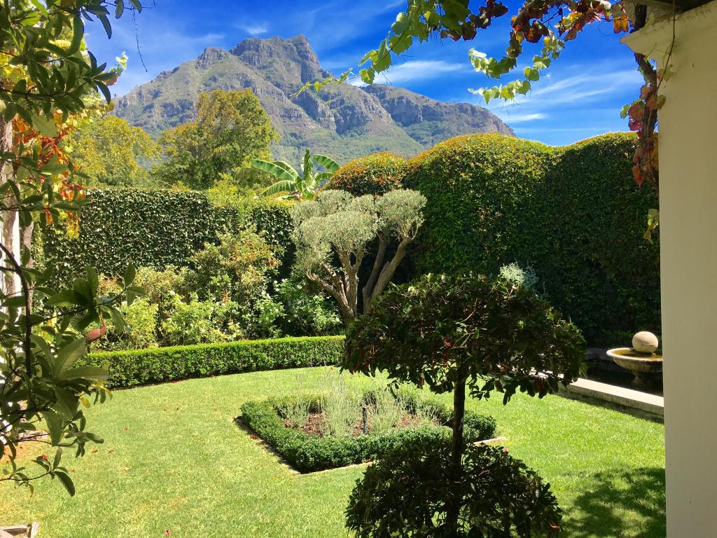 A Cape Town Garden