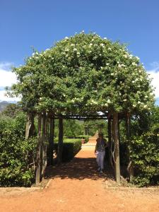 Babylonstoren Garden