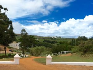 Hamilton Russell Vineyard